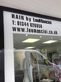 Leo Mancini Hair Beau Ho Boutique 1063651 Image 6